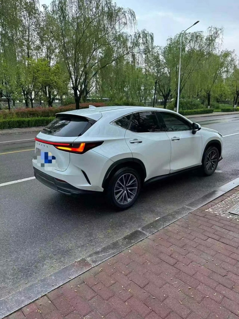 济宁23年雷克萨斯NX8