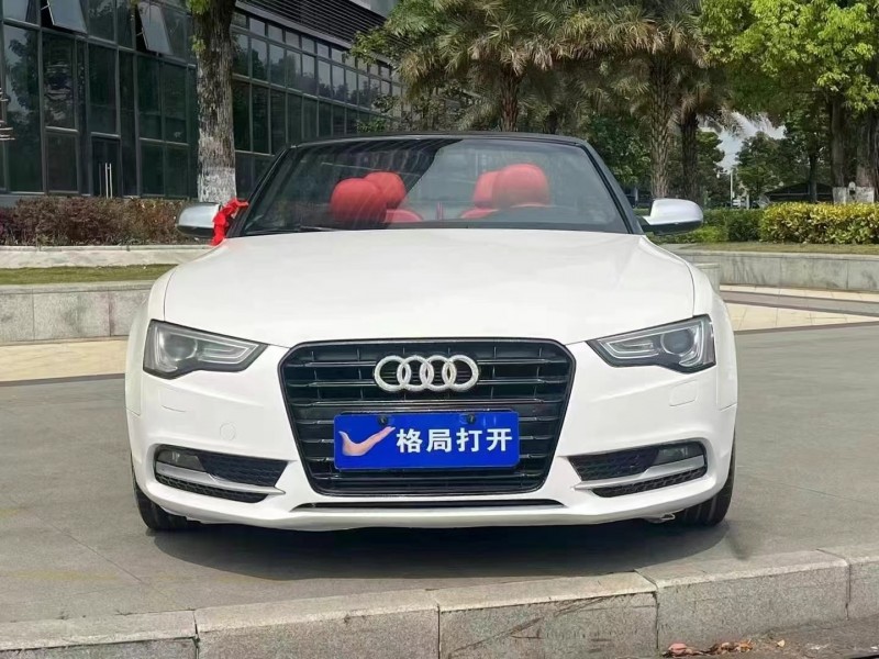 廣州13年奧迪A51