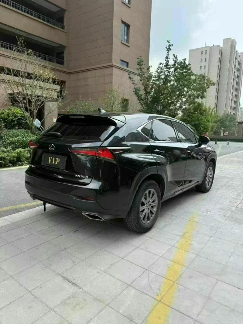 徐州18年雷克萨斯NX8