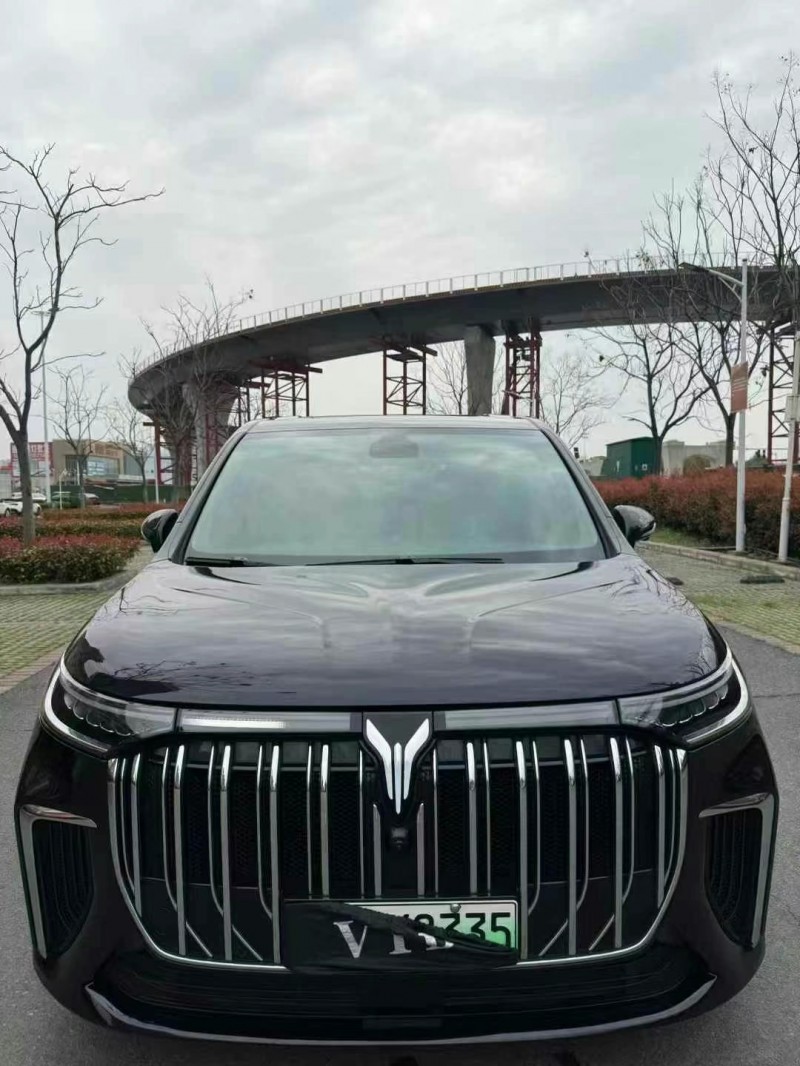 襄陽24年嵐圖汽車夢想家1
