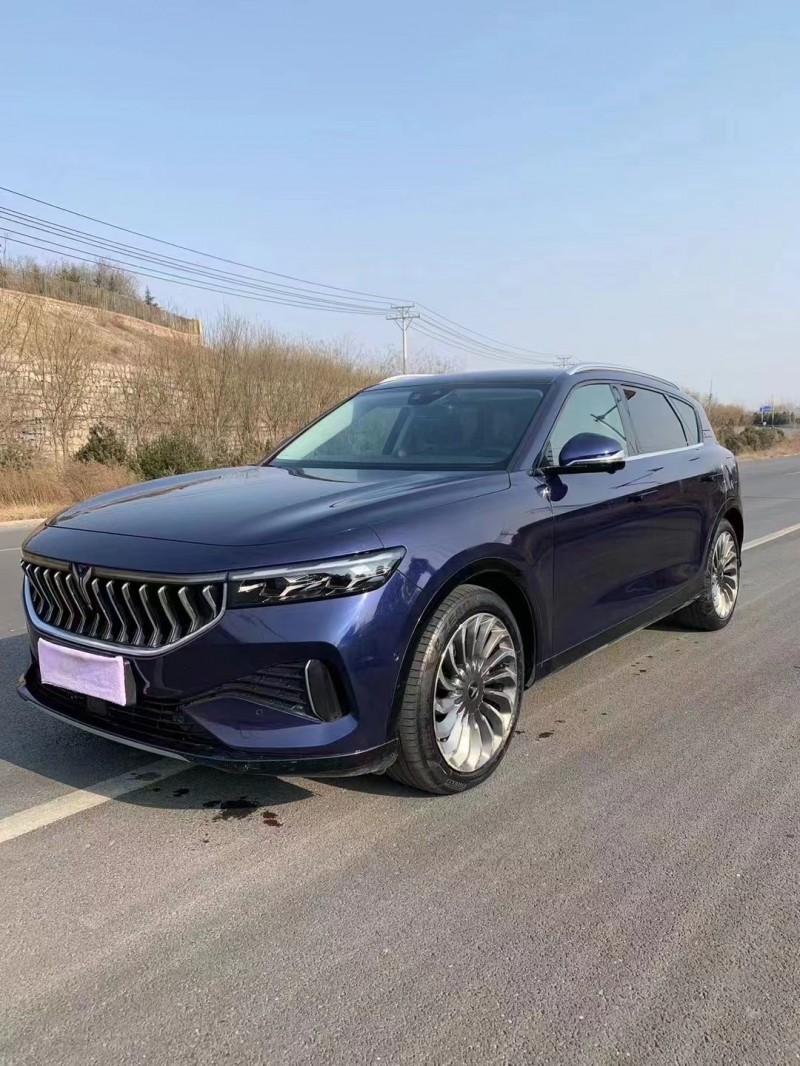 邯鄲22年嵐圖汽車FREE2
