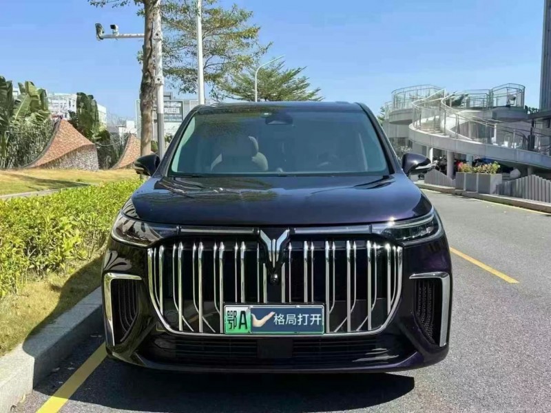 深圳24年嵐圖汽車夢想家1