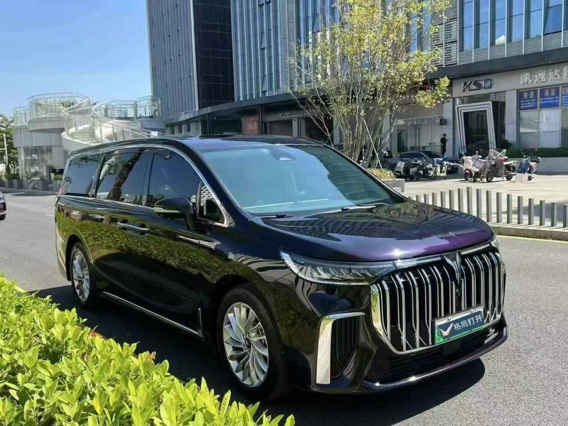 深圳24年嵐圖汽車夢想家2