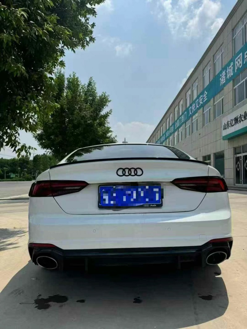 泰安20年奧迪A59