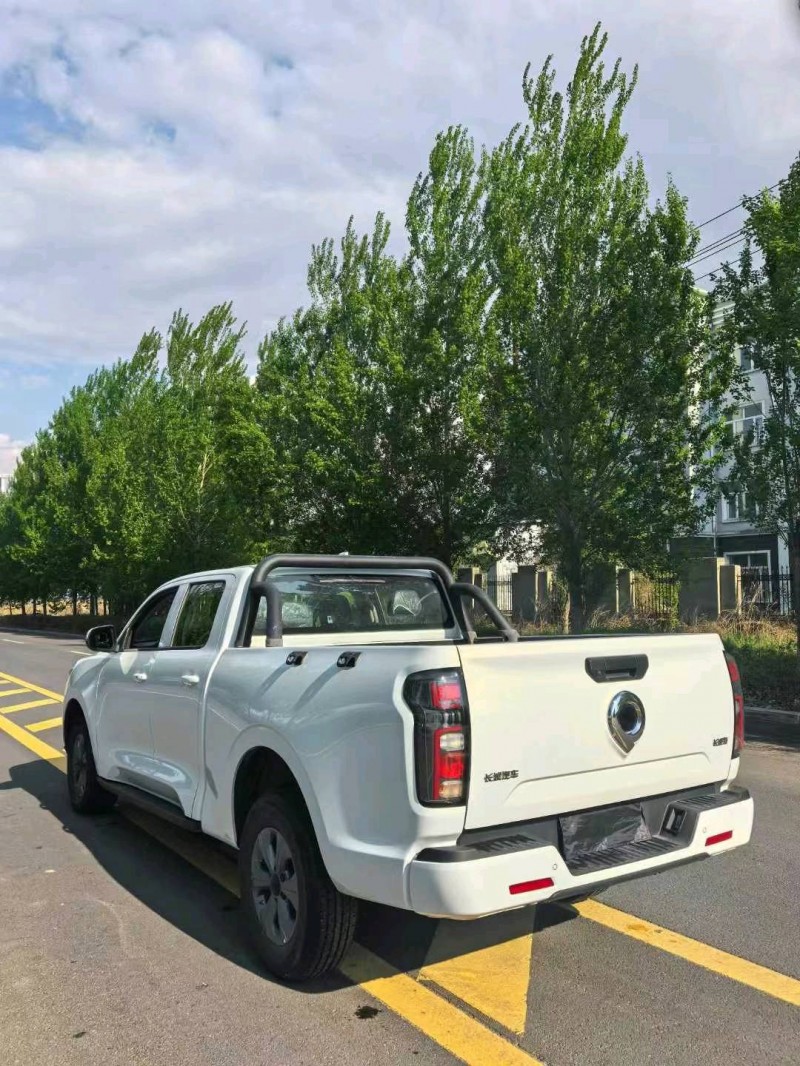 哈爾濱25年長城汽車炮 皮卡5