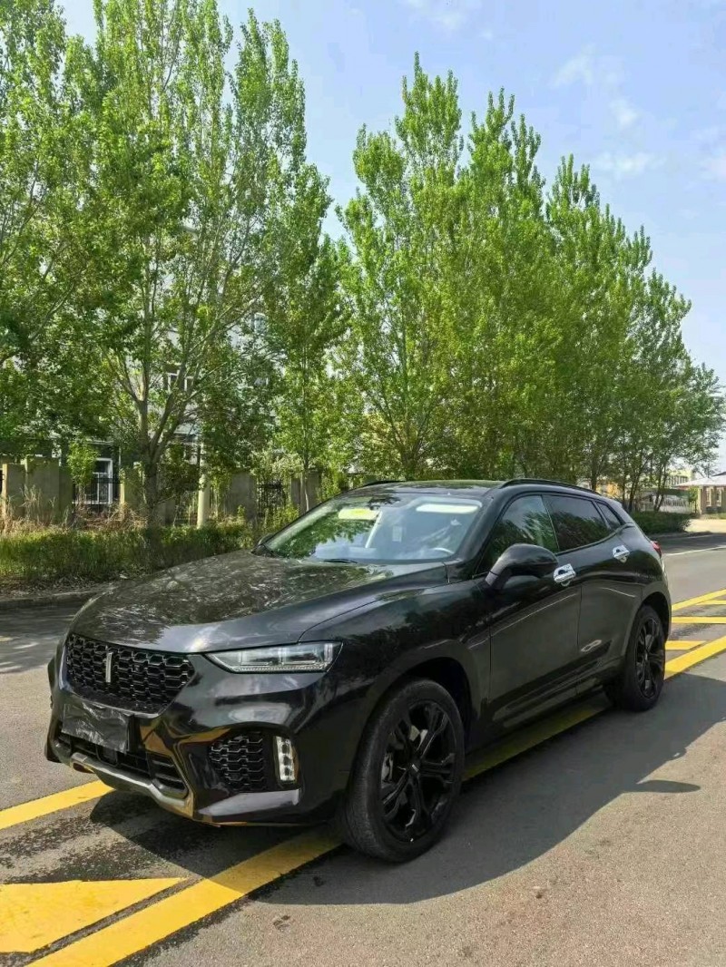 哈爾濱19年長城汽車WEY3