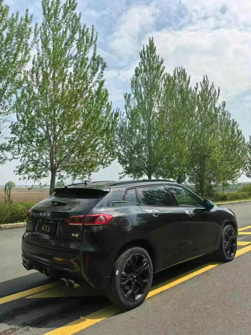 哈爾濱19年長城汽車WEY6