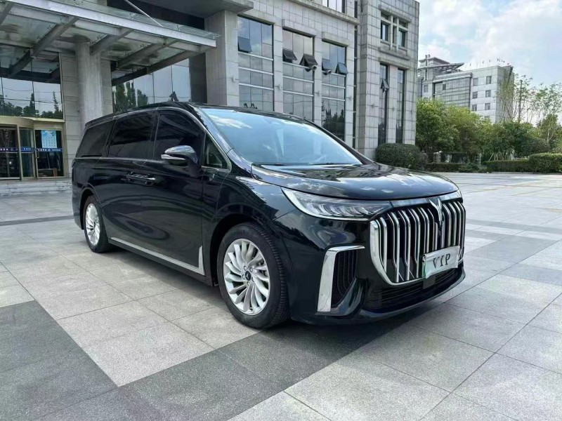棗莊24年嵐圖汽車夢想家3