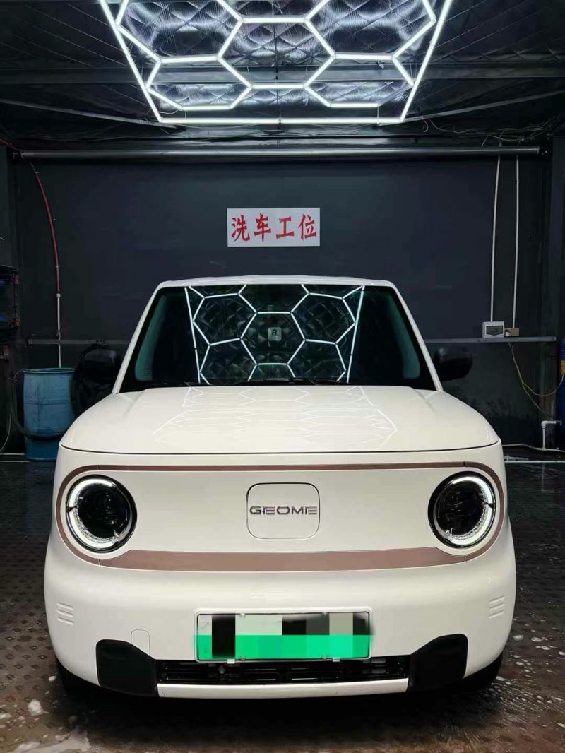 濰坊23年吉利熊貓1