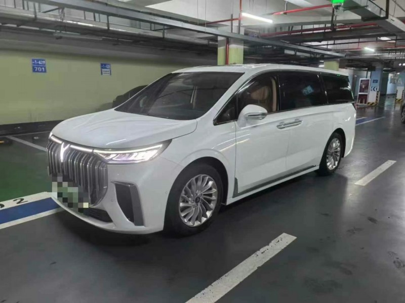 濰坊24年嵐圖汽車夢想家2
