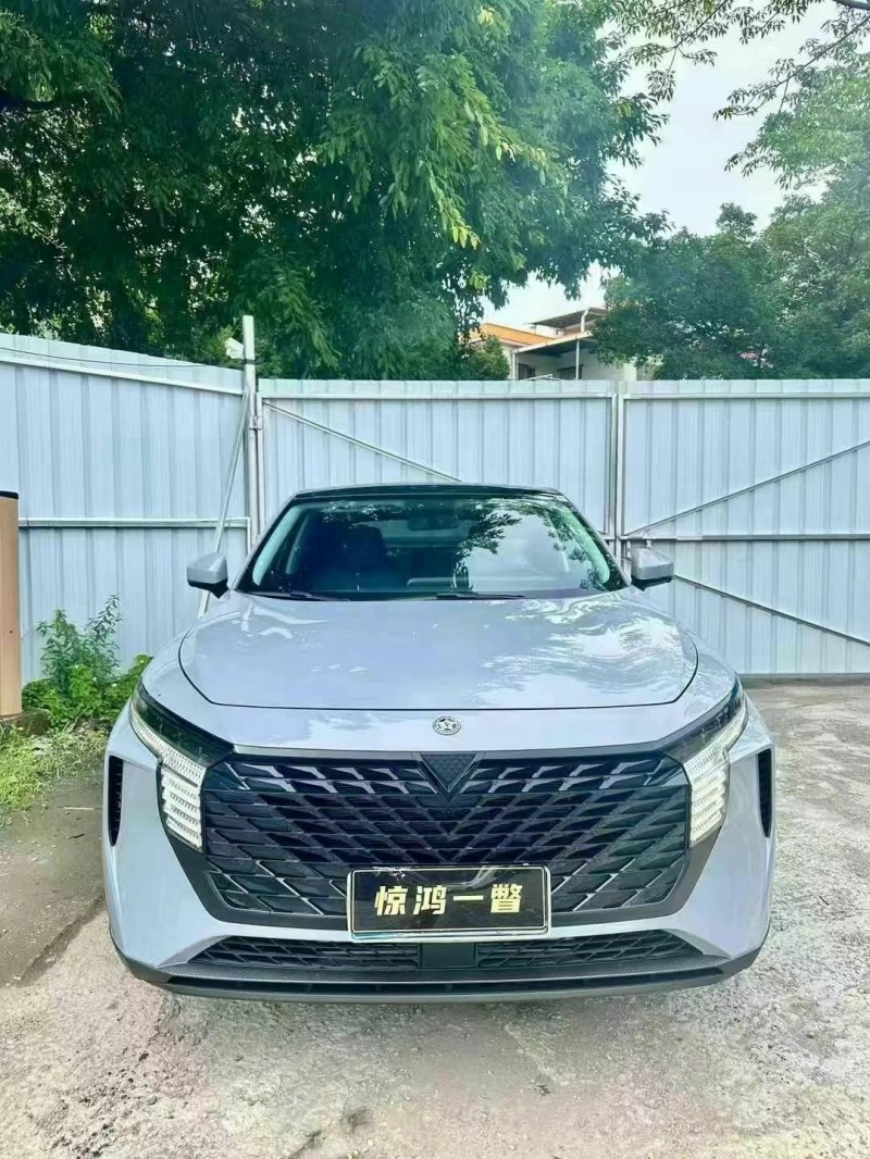 廣州24年啟辰大V1