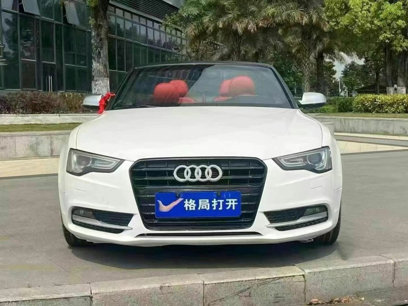東莞13年奧迪A51