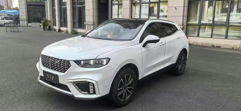 龍巖21年長城汽車魏牌3