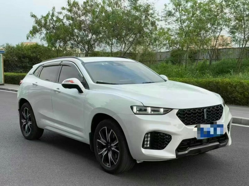 東莞19年長城汽車WEY2