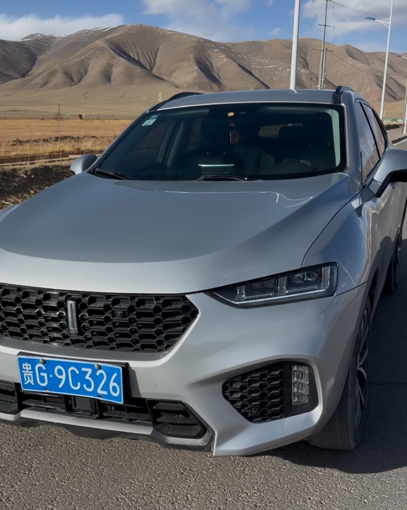 玉樹17年長城汽車WEY1