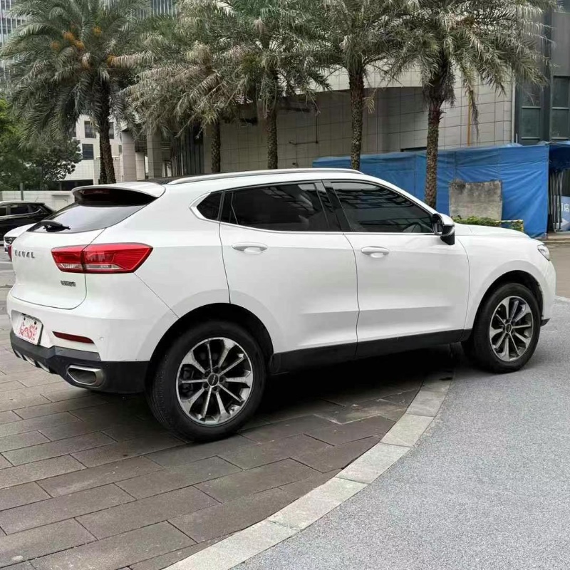 佛山20年哈弗F55