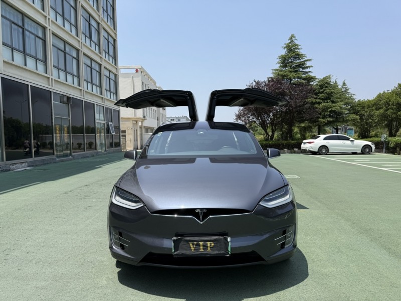 鹽城20年特斯拉MODEL X1