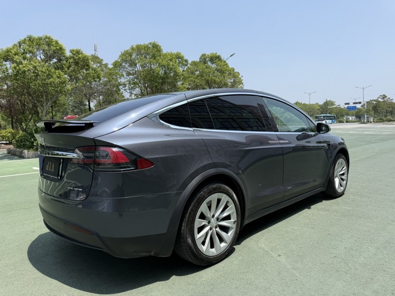 鹽城20年特斯拉MODEL X8