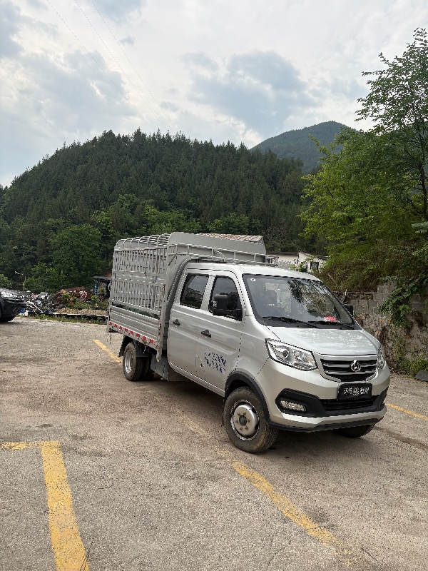 重慶24年長安汽車跨越王3