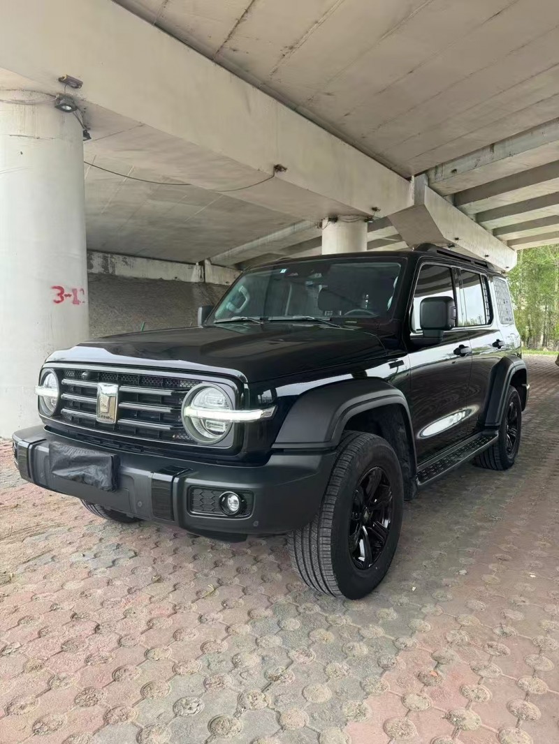 松原22年長城汽車坦克3