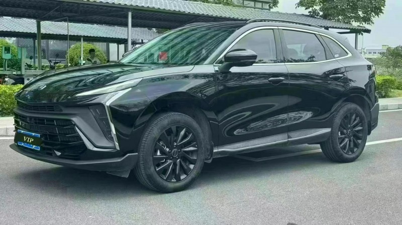 東莞24年東風風行3