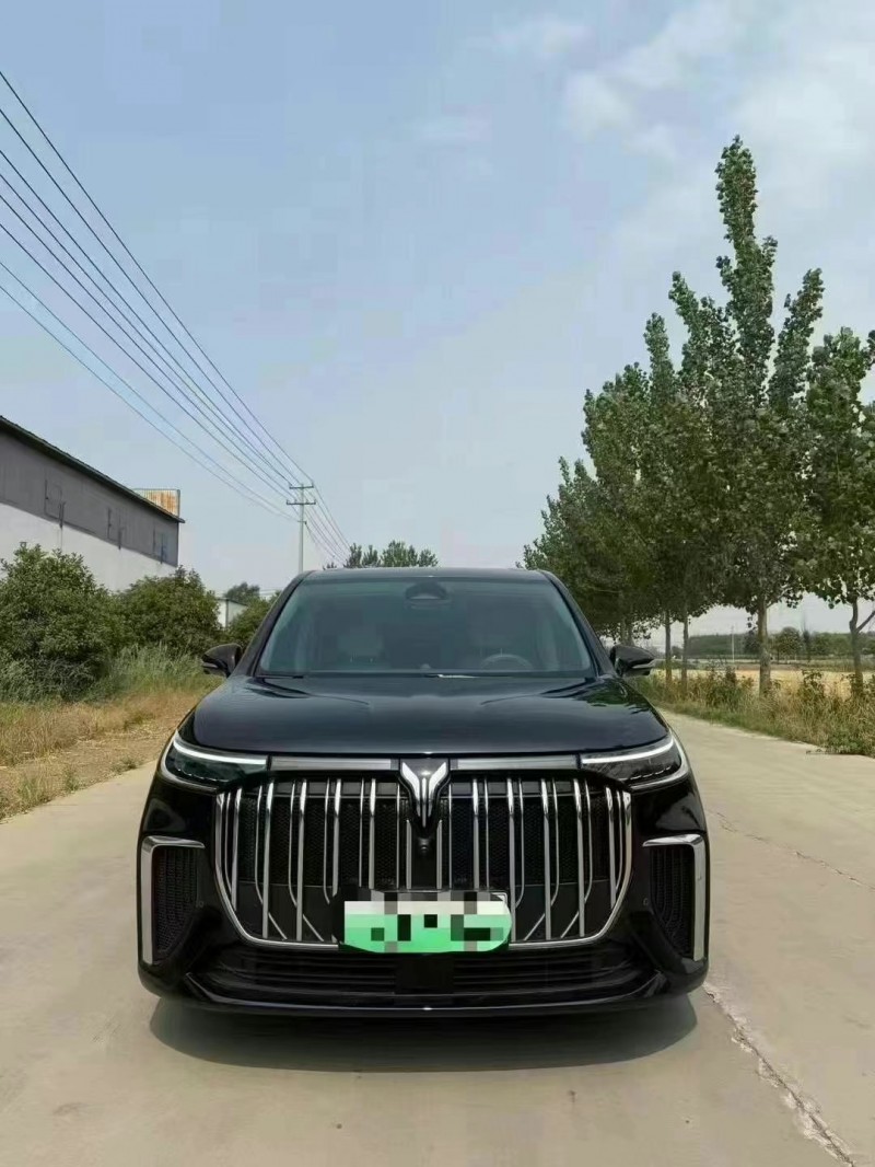 菏澤24年嵐圖汽車夢想家1
