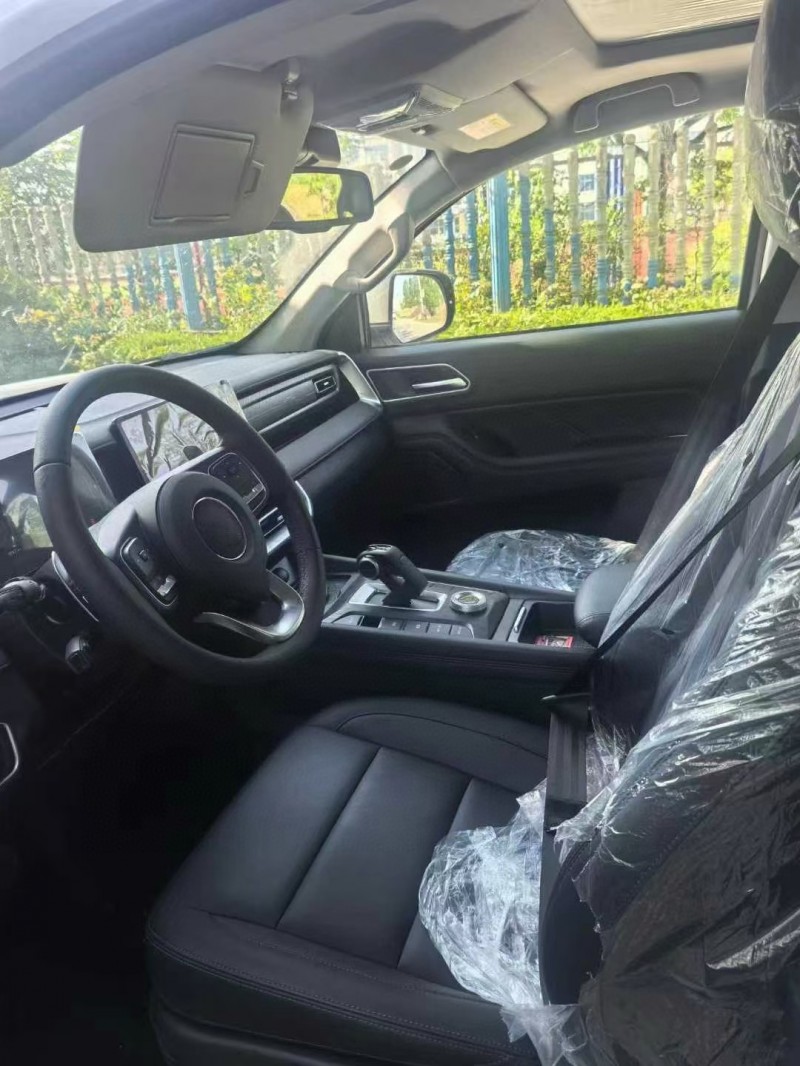 徐州25年長城汽車炮 皮卡5