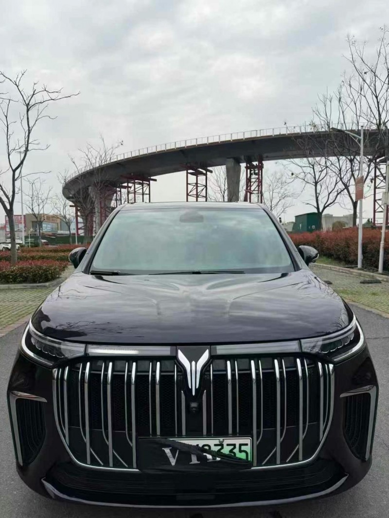 襄陽24年嵐圖汽車夢想家1