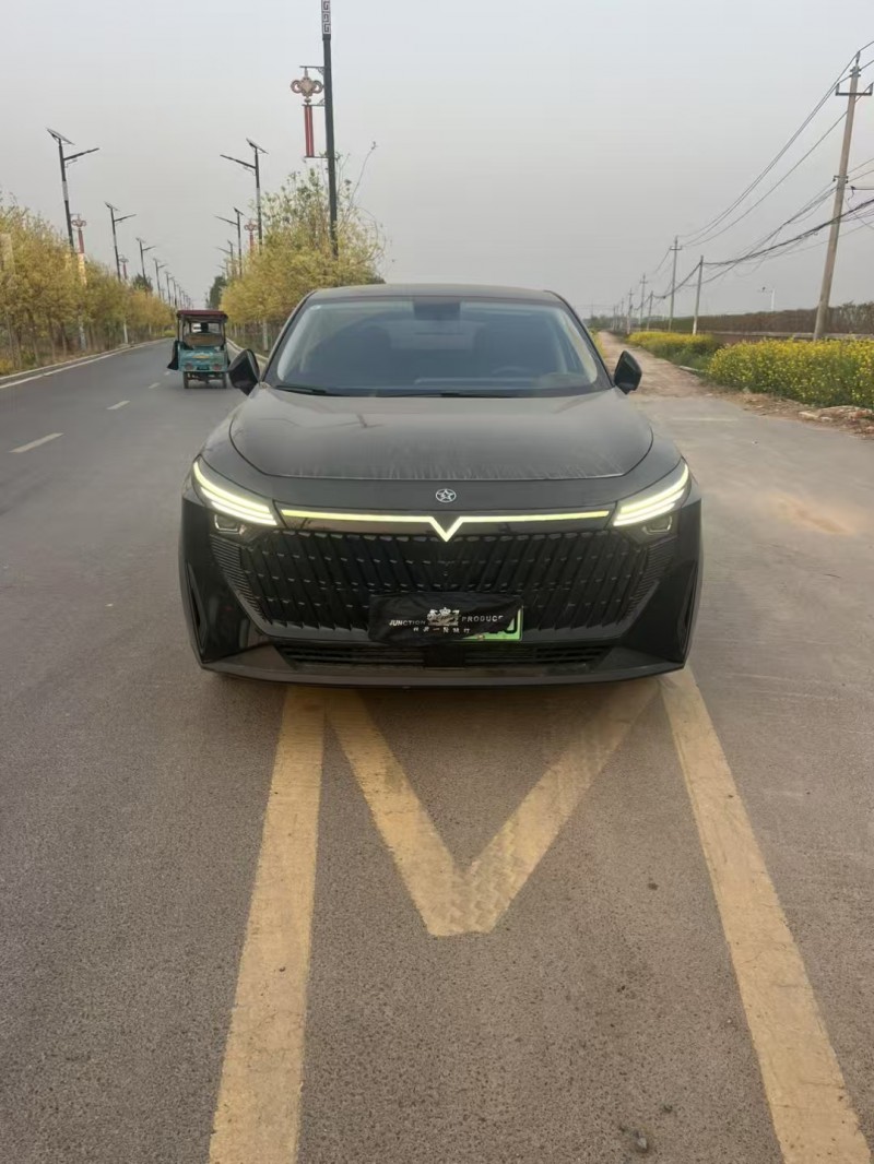 新鄉24年啟辰大V1