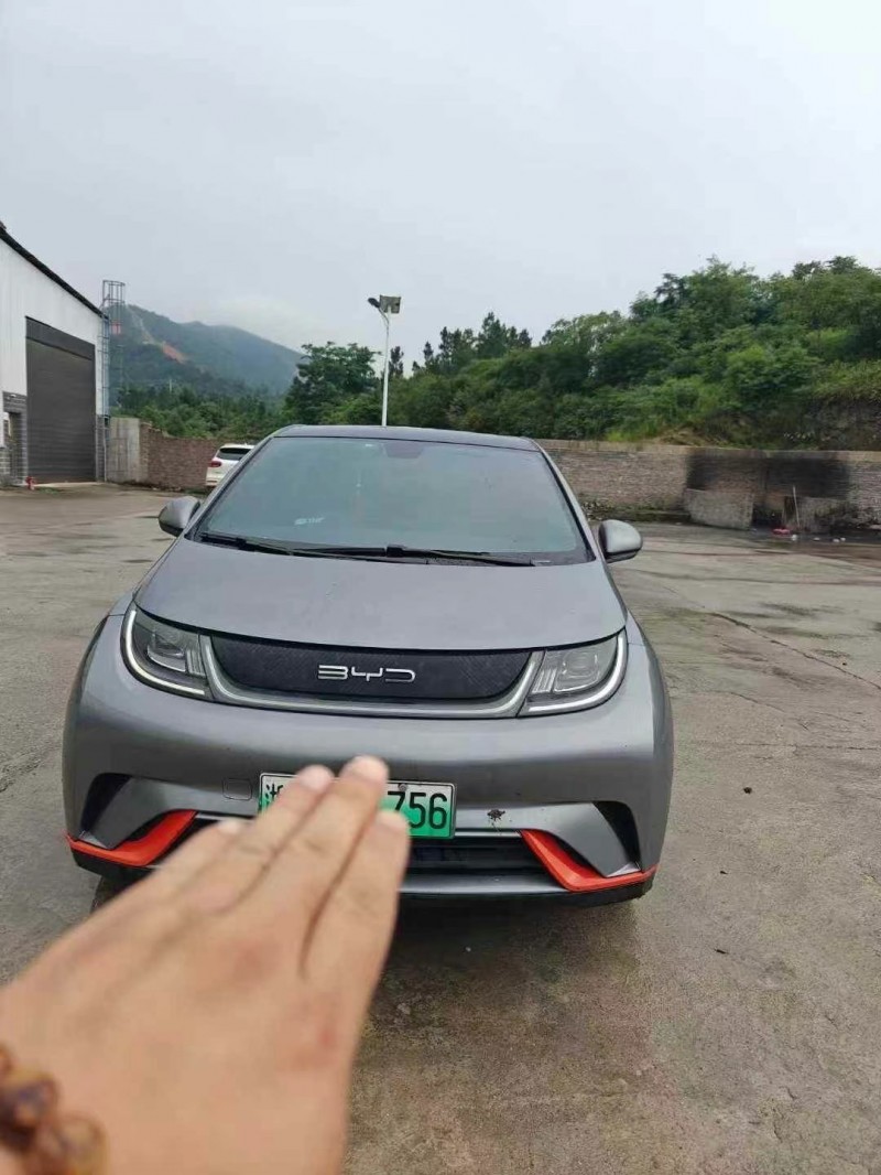 岳陽22年比亞迪海豚1