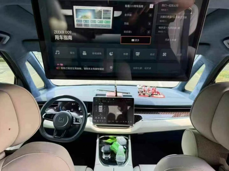 菏澤24年極氪汽車0094