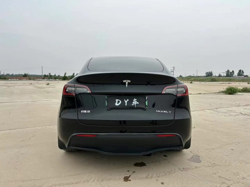 石家莊22年特斯拉MODEL Y9