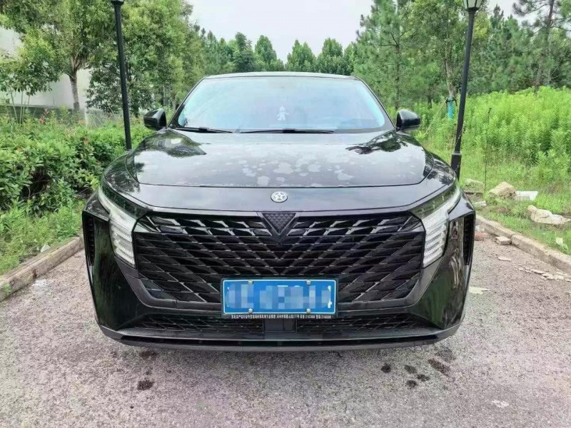 宜昌23年啟辰大V1