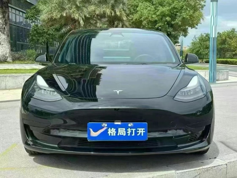 東莞22年特斯拉MODEL 31