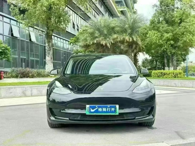 東莞21年特斯拉MODEL 31