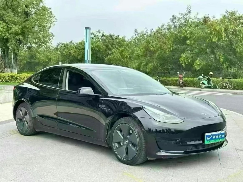 東莞21年特斯拉MODEL 33