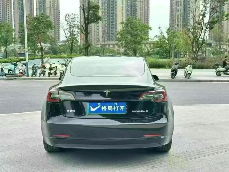 東莞21年特斯拉MODEL 39