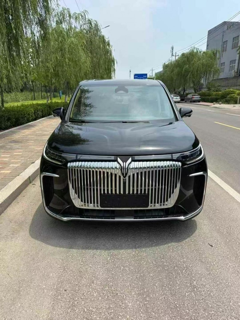 濰坊25年嵐圖汽車夢想家1