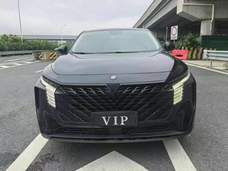 廣州22年啟辰大V1