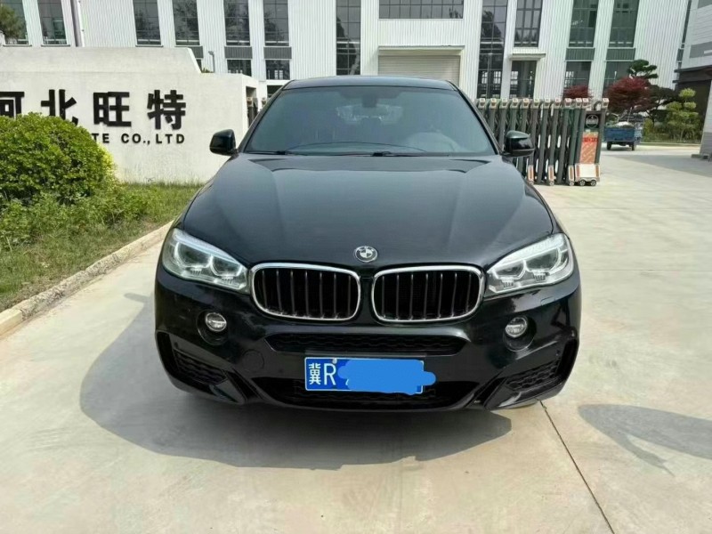 保定19年寶馬X61