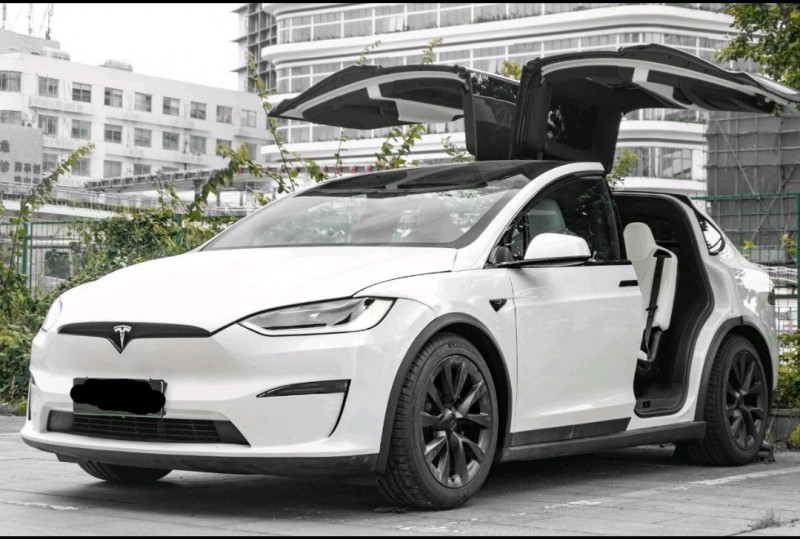 廣州23年特斯拉MODEL X1