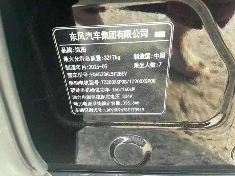 東營25年嵐圖汽車夢想家4