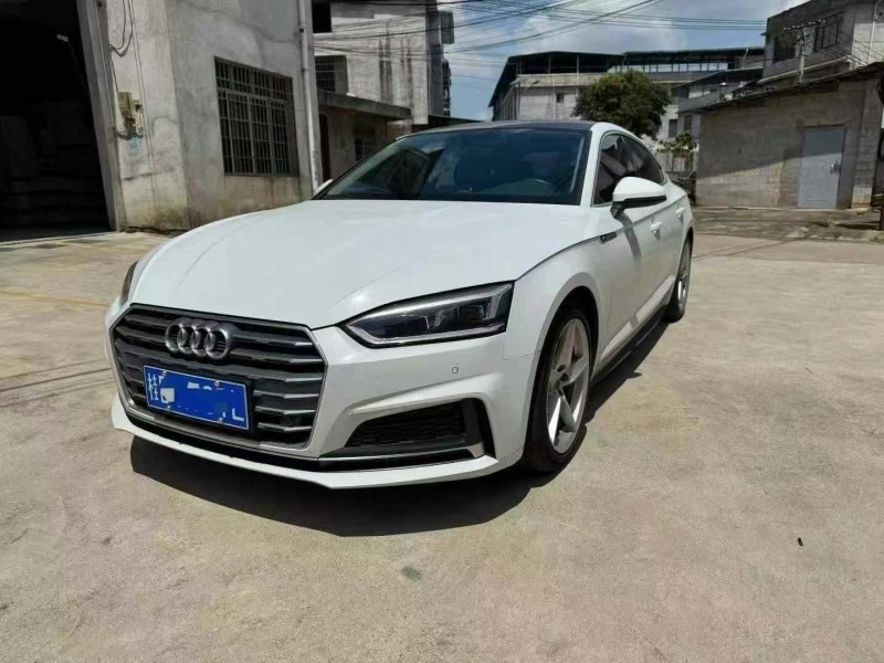 佛山20年奧迪A53