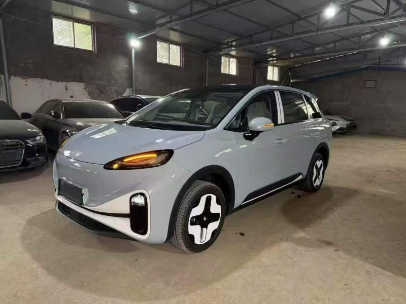 安陽25年極狐汽車考拉2