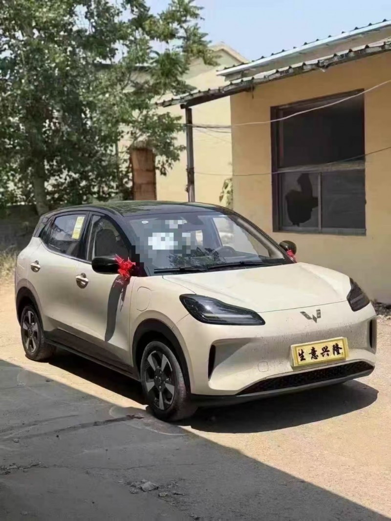 菏澤25年五菱汽車繽果2