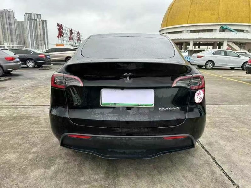 東莞22年特斯拉MODEL Y7