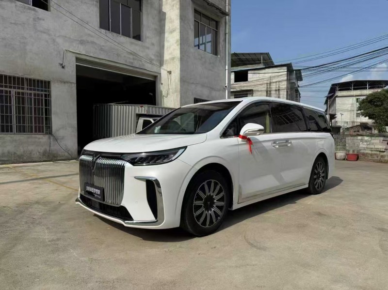 柳州25年嵐圖汽車夢想家2