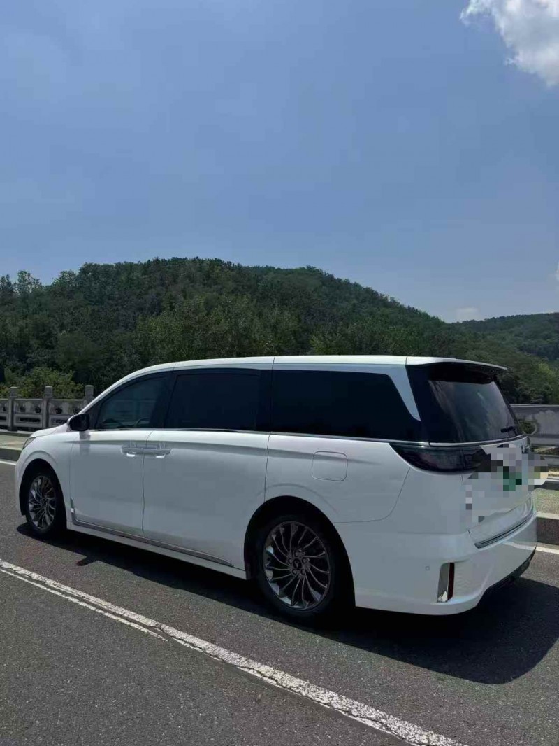 棗莊23年嵐圖汽車夢想家8