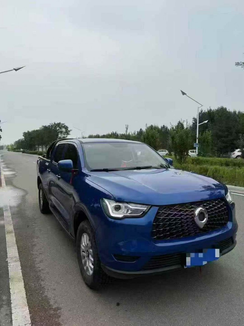 通遼20年長城汽車炮 皮卡3