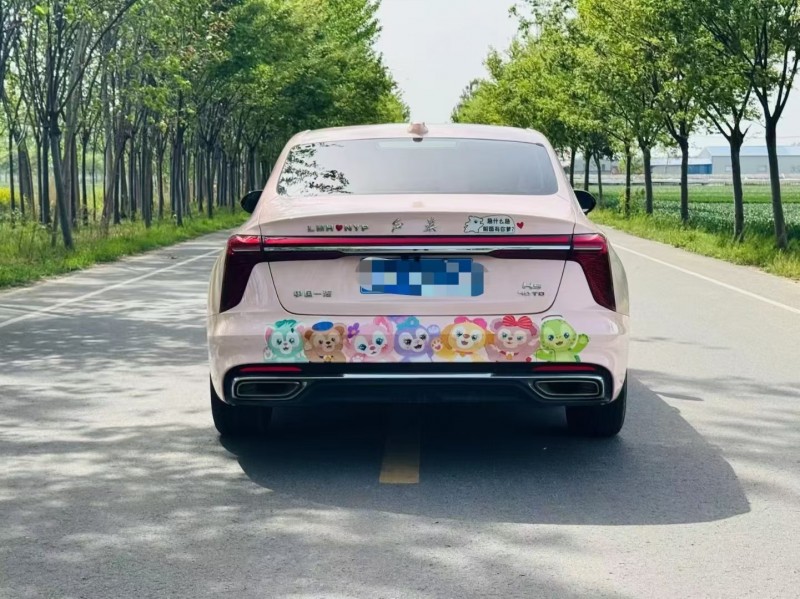 徐州23年红旗H59